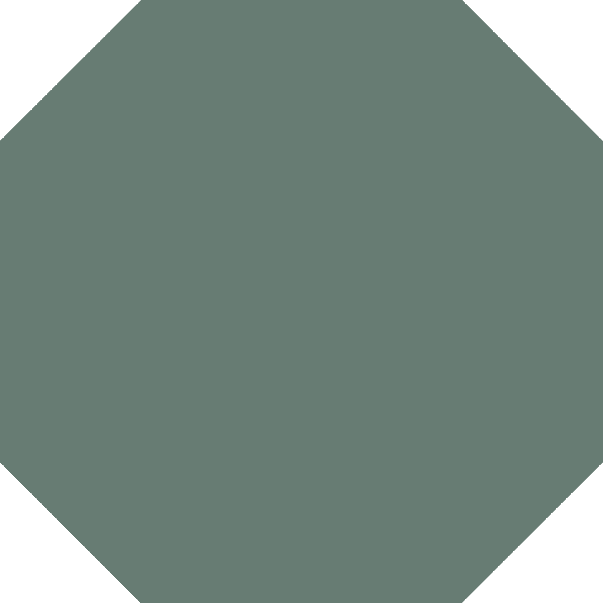 Winckelmans Octagon 150 x 150