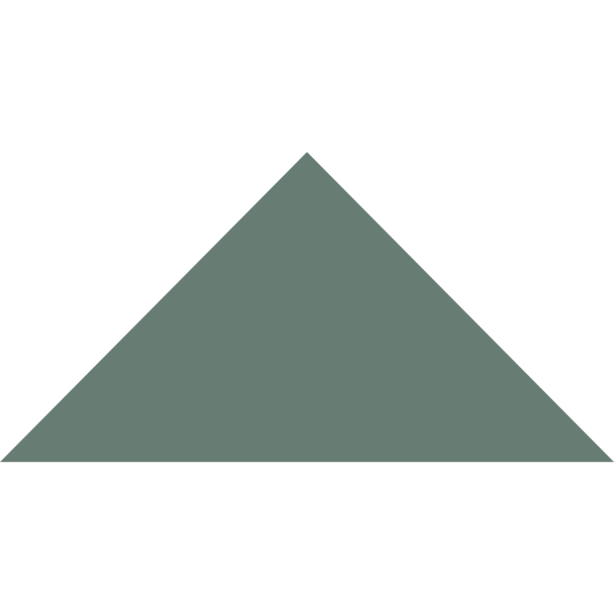 Winckelmans Triangle 100 x 100 x 140