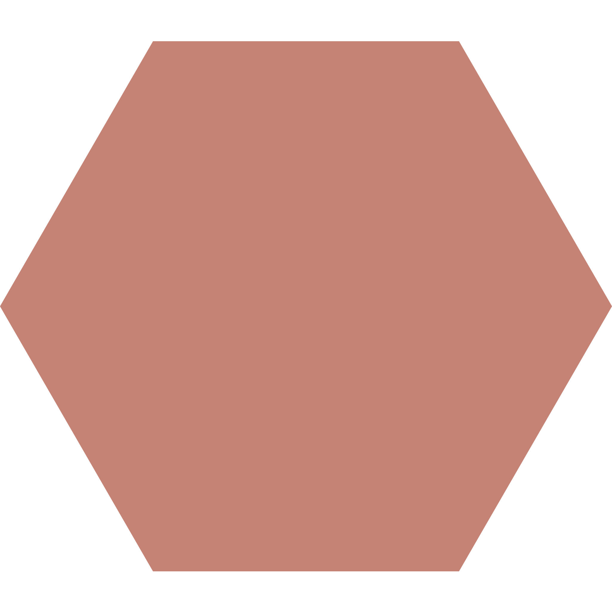 Winckelmans Hexagon 100 x 100