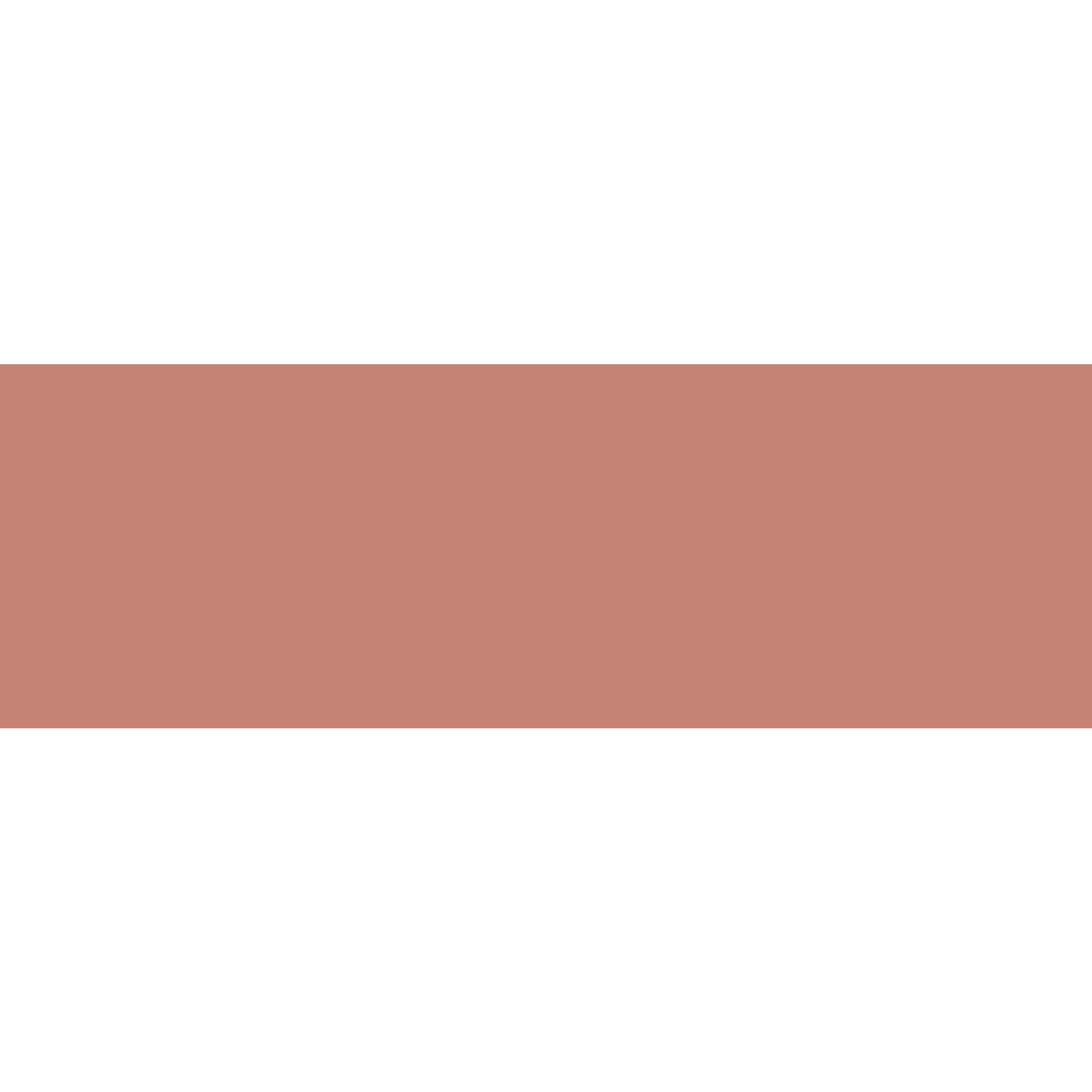 Winckelmans Rectangle 50 x 100