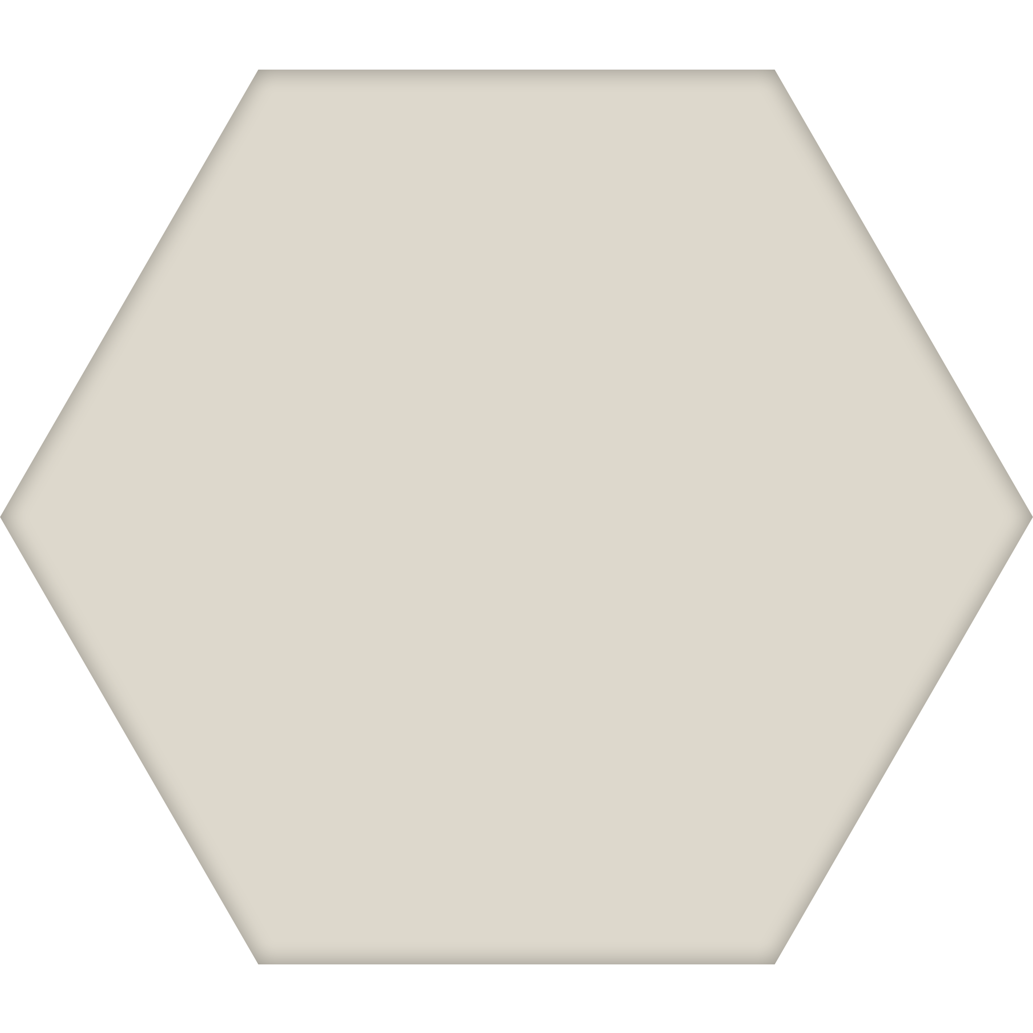 TopCer Hexagon 100 x 100