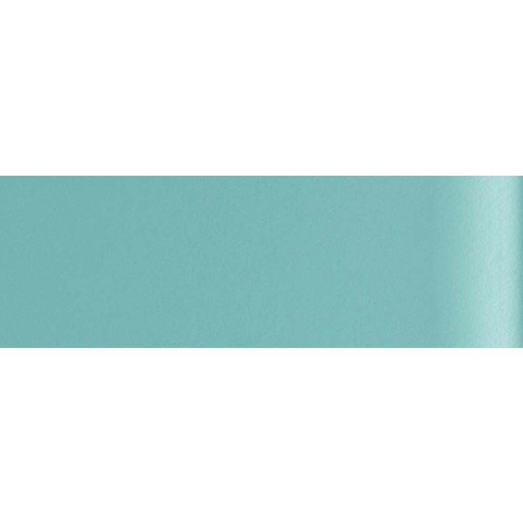Clear Glass 300 x 100 x 6
