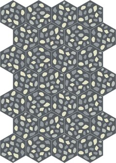 Bisazza cementtegel Hexagon Grit dark Grey 200 x 230