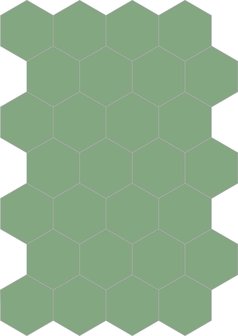 Bisazza cementtegel Hexagon Lichene E 200 x 230