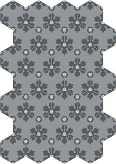 Bisazza cementtegel Hexagon Freeze Titanio 200 x 230