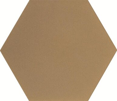 Hexagon Classic 127 x 127 (Regency Bath)