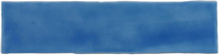 Agapanthus  Brick Tile 300 x 75 x 10