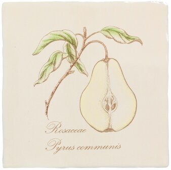 Pear , 130 x 130 x 10