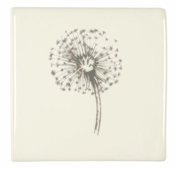 Dandelion , 105 x 105 x 10