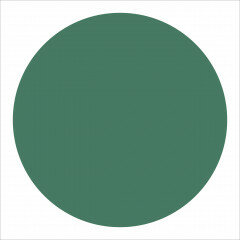 Winckelmans Rounds Vert Fonce, 18 x 3,8 (op net)