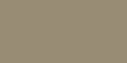 Winckelmans Rectangle Taupe, 50 x 100