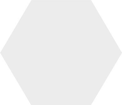 Winckelmans Hexagon Superblanc, 100 x 100 x 9