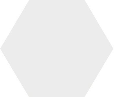 Winckelmans Hexagon Superblanc, 50 x 50 x 5 (op net)