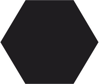 Winckelmans Hexagon Noir, 25 x 25 x 9 (op net)