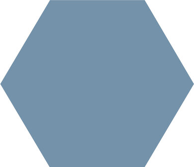 Winckelmans Hexagon Bleu, 100 x 100 x 9