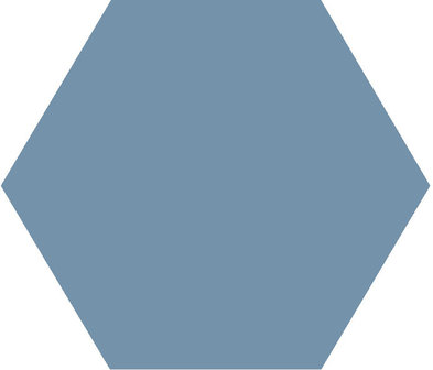 Winckelmans Hexagon Bleu, 50 x 50 x 5 (op net)