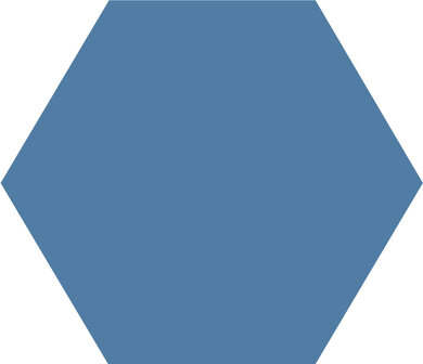 Winckelmans Hexagon Bleu Fonce, 100 x 100 x 9