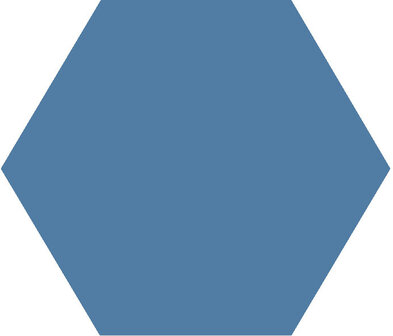 Winckelmans Hexagon Bleu Fonce, 50 x 50 x 5 (op net)