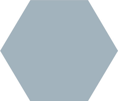 Winckelmans Hexagon Bleu Pale, 100 x 100 x 9