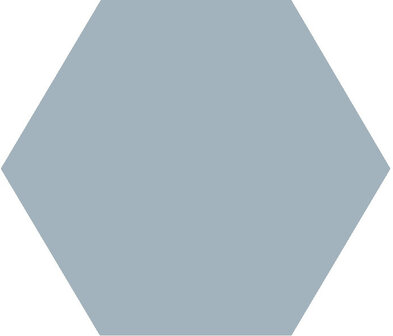 Winckelmans Hexagon Bleu Pale, 50 x 50 x 5 (op net)