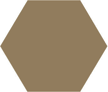 Winckelmans Hexagon Cafe, 25 x 25 x 3,8 (op net)