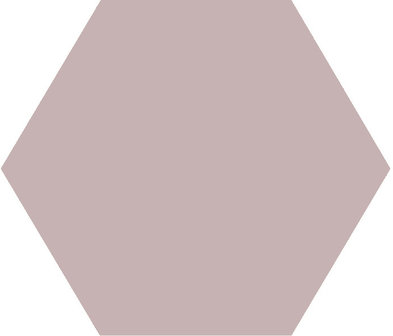 Winckelmans Hexagon Parme, 50 x 50 x 5 (op net)