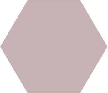 Winckelmans Hexagon Parme, 25 x 25 x 9 (op net)