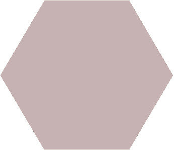 Winckelmans Hexagon Parme, 25 x 25 x 3,8 (op net)