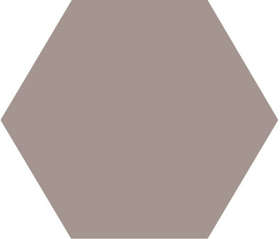 Winckelmans Hexagon Gris Pale, 50 x 50 x 5 (op net)