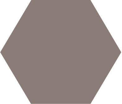 Winckelmans Hexagon Gris, 50 x 50 x 5 (op net)