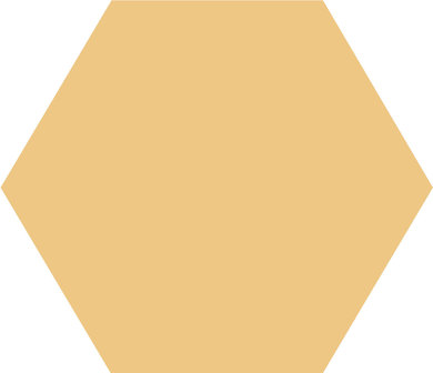 Winckelmans Hexagon Cognac, 150 x 150 x 9