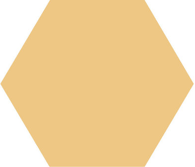 Winckelmans Hexagon Cognac, 50 x 50 x 5 (op net)