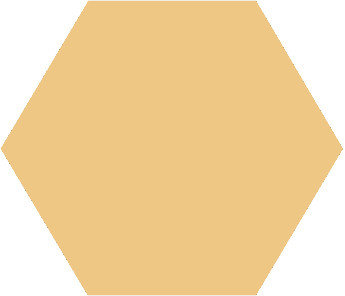 Winckelmans Hexagon Cognac, 25 x 25 x 9 (op net)