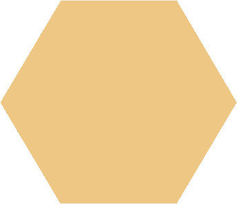 Winckelmans Hexagon Cognac, 25 x 25 x 3,8 (op net)