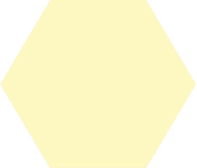 Winckelmans Hexagon Vanille, 25 x 25 x 9 (op net)