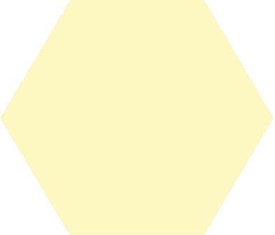 Winckelmans Hexagon Vanille, 50 x 50 x 5 (op net)