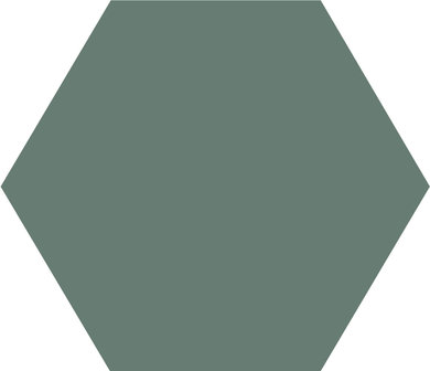 Winckelmans Hexagon Vert, 100 x 100 x 9