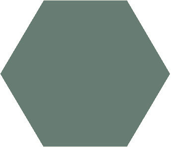 Winckelmans Hexagon Vert, 25 x 25 x 9 (op net)