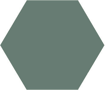 Winckelmans Hexagon Vert, 25 x 25 x 3,8 (op net)