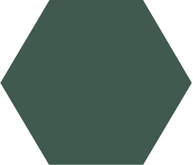 Winckelmans Hexagon Vert Fonce, 50 x 50 x 5 (op net)