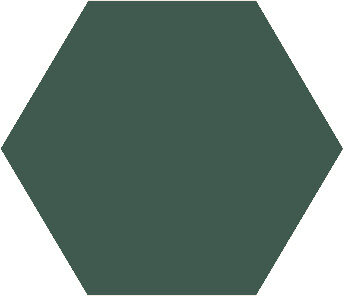 Winckelmans Hexagon Vert Fonce, 25 x 25 x 3,8 (op net)