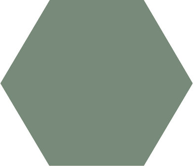 Winckelmans Hexagon Vert Pale, 50 x 50 x 5 (op net)