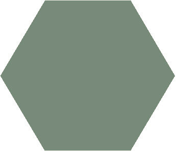 Winckelmans Hexagon Vert Pale, 25 x 25 x 9 (op net)