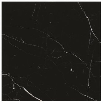 EW-NEROP31X31 Nero Polished