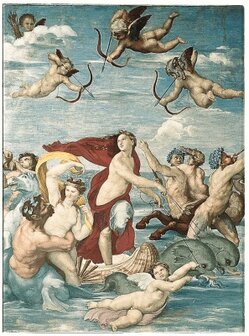 Raphael: Galatea , 560 x 420 x 10