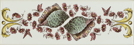 Seashells Border Tile , 152 x 50 x 7