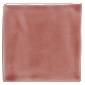 Raspberry 127mm Field Tile, 127 x 127 x 10