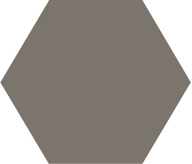 Winckelmans Hexagon anthracite, 25 x 25 x 9 (op net)