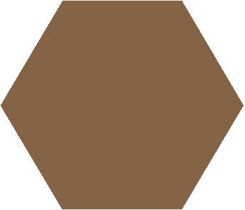 Winckelmans Hexagon Havane, 25 x 25 x 3,8 (op net)