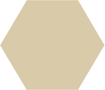 Winckelmans Hexagon Ivoire, 25 x 25 x 9 (op net)